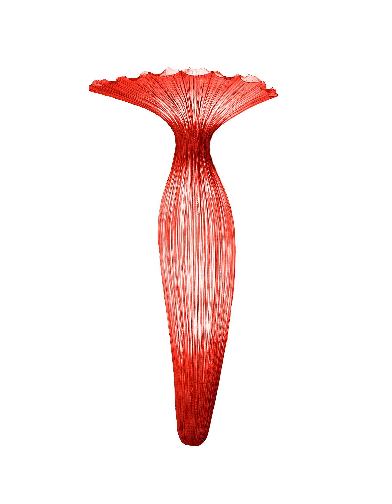 Evening Glory Wall Light