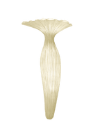 Evening Glory Wall Light
