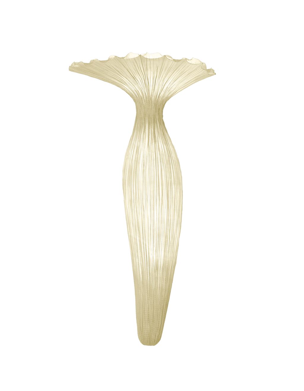 Evening Glory Wall Light
