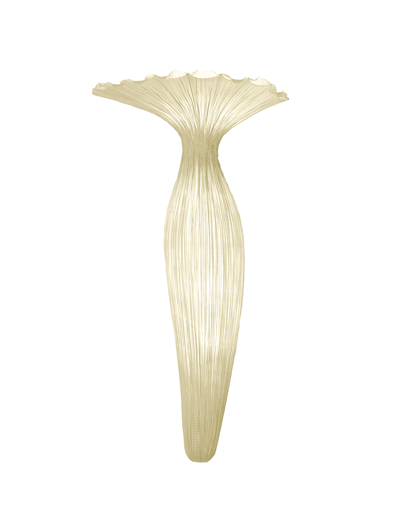 Evening Glory Wall Light