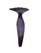 Evening Glory Wall Light