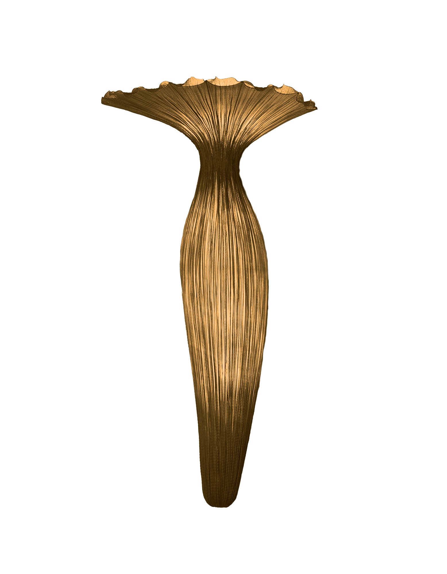 Evening Glory Wall Light