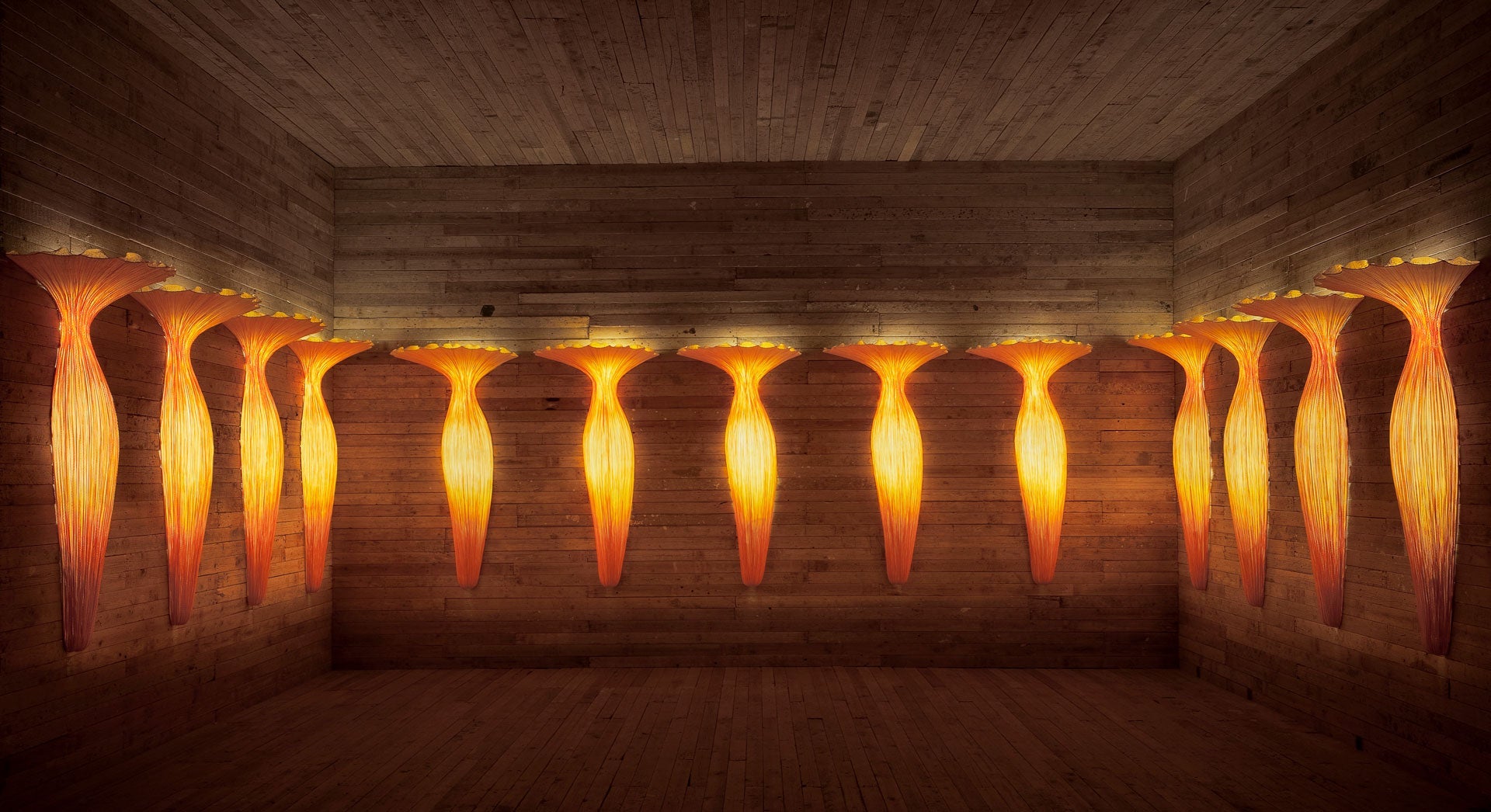 glory wall Evening Glory Wall Light by Aqua Creations | Light Becomes Art | Aqua Gallery – Aqua Creations Studio