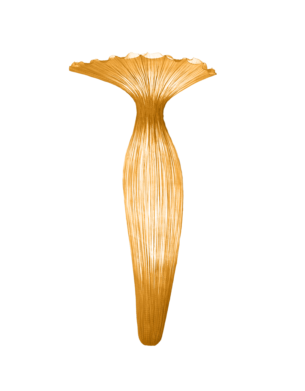 Evening Glory Wall Light