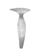 Evening Glory Wall Light
