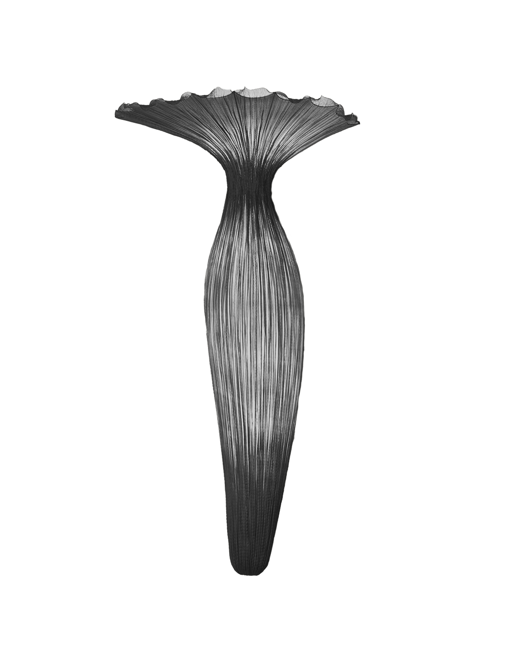 Evening Glory Wall Light
