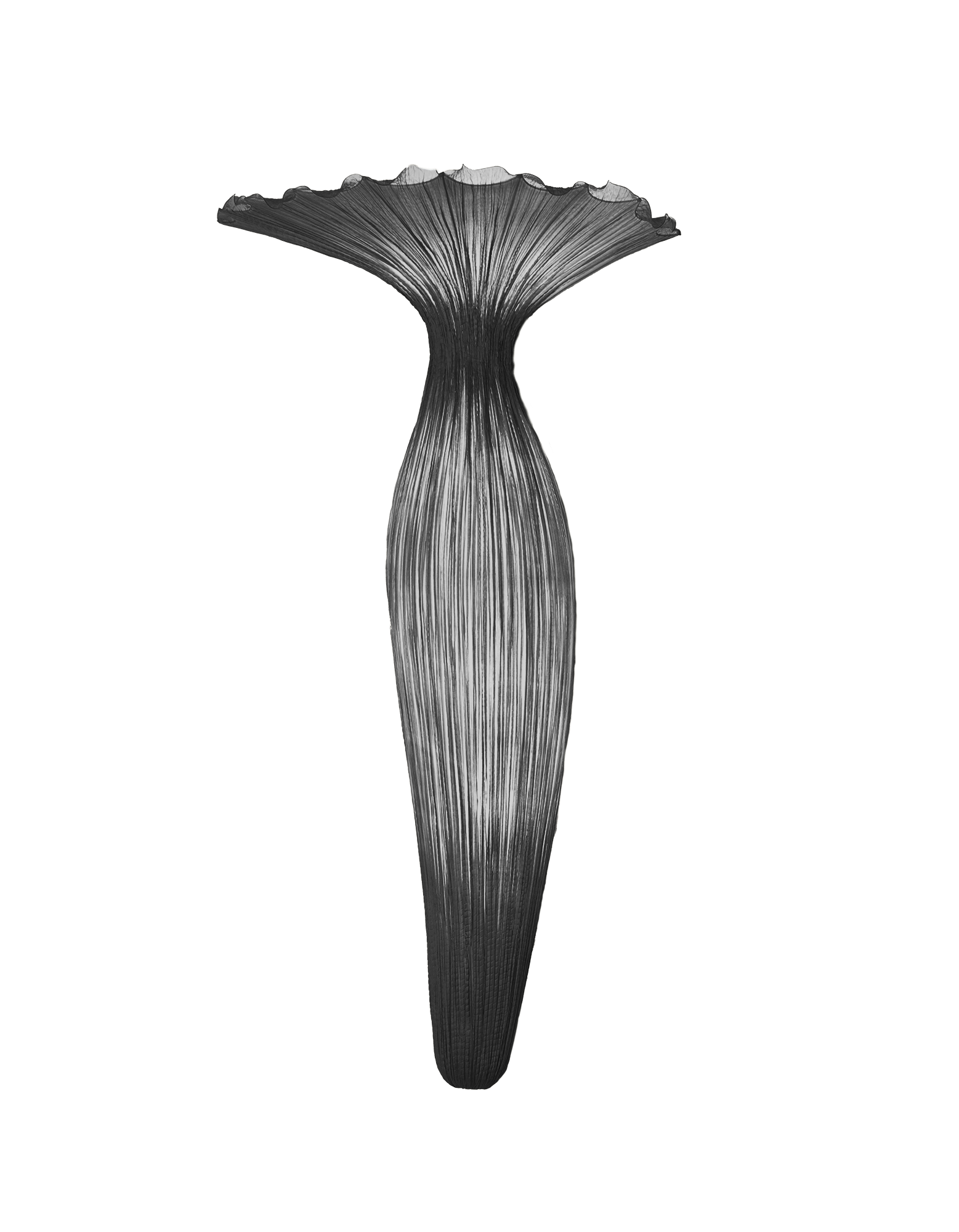 Evening Glory Wall Light