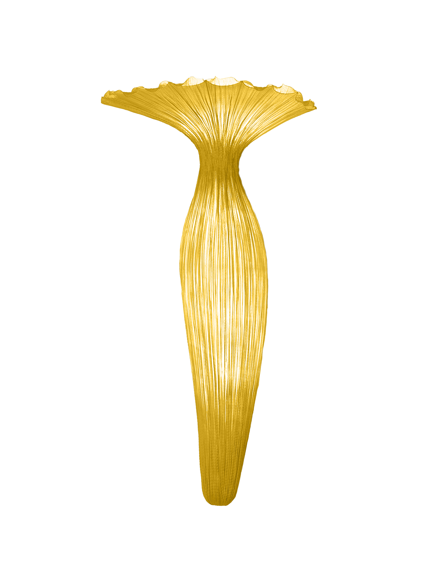 Evening Glory Wall Light