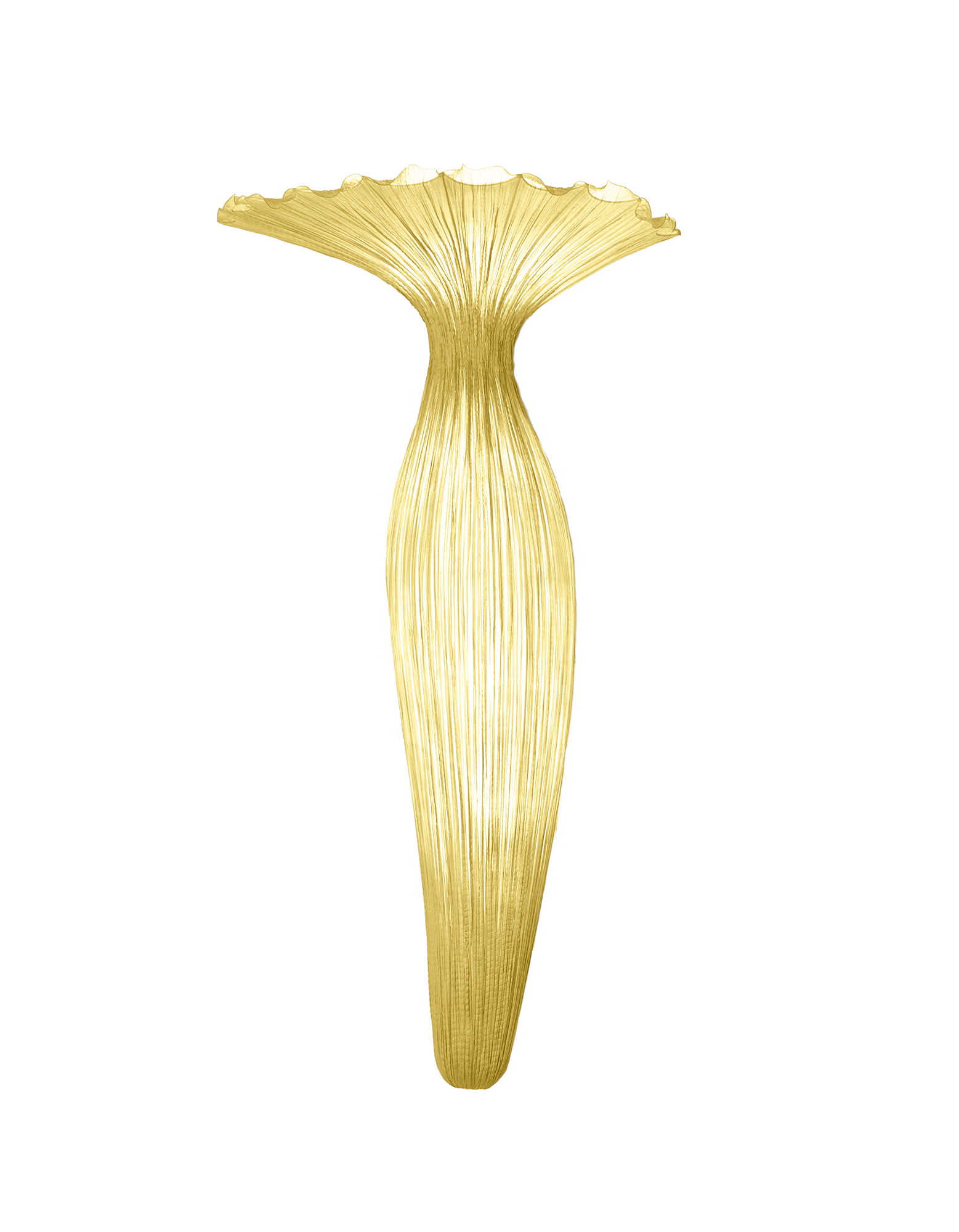 Evening Glory Wall Light