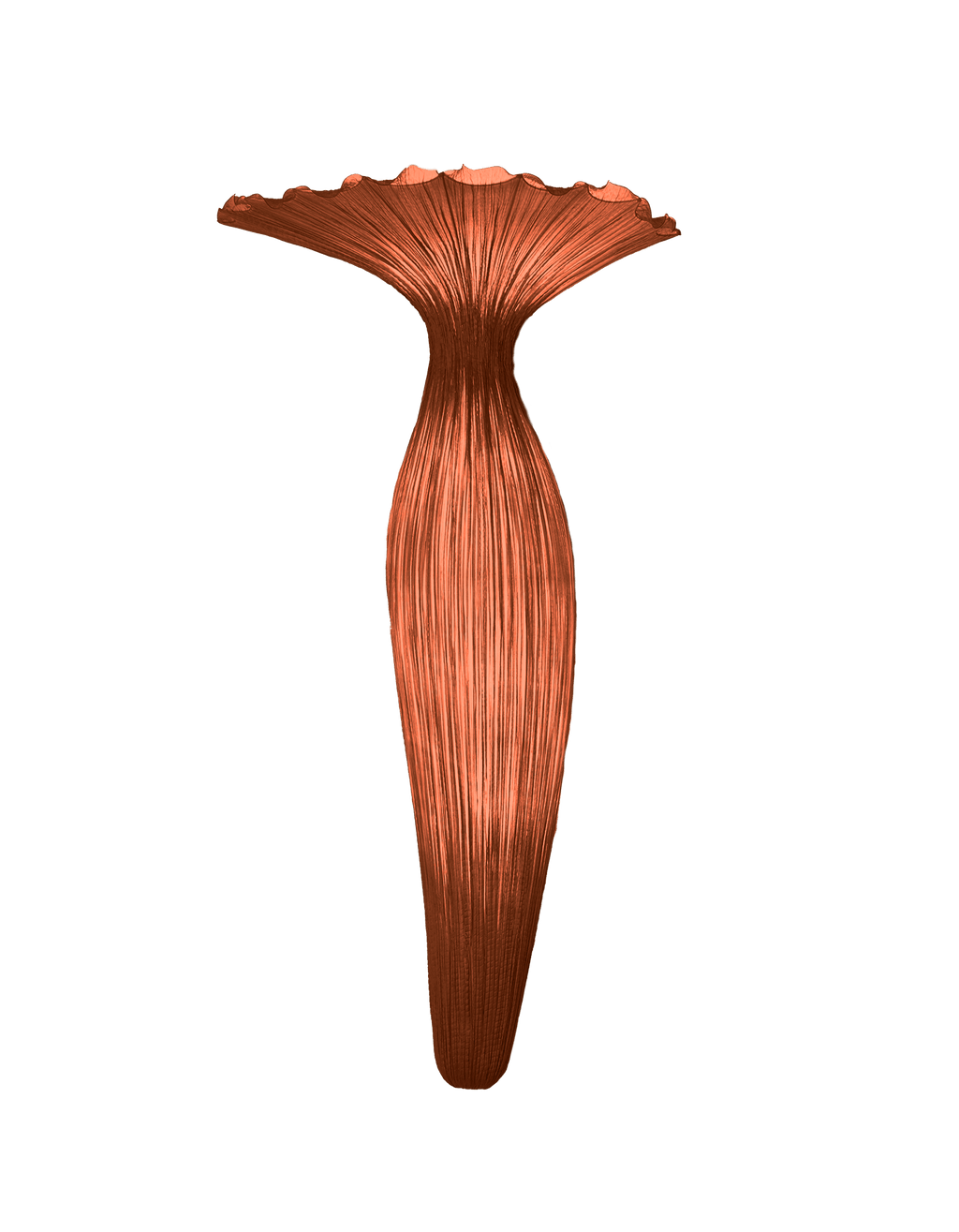 Evening Glory Wall Light