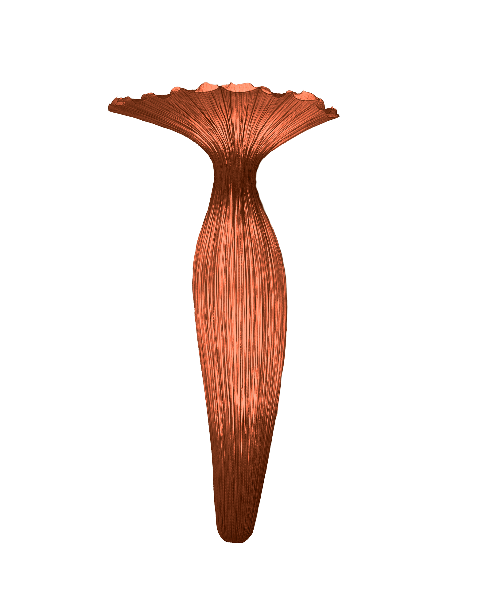 Evening Glory Wall Light