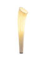 Horn Floor Lamp