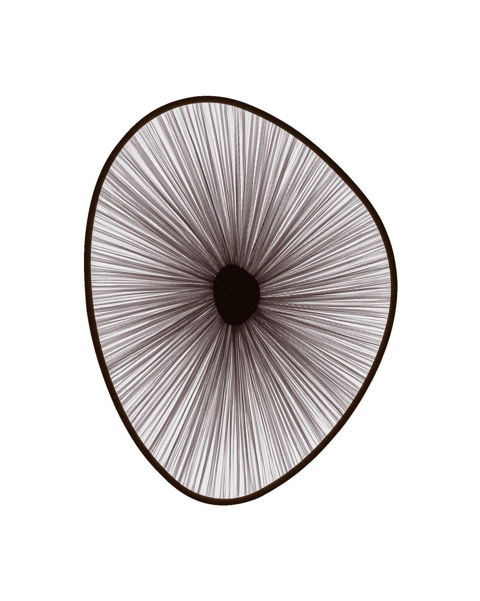 Lake Doiran Wall Light