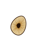 Lake Doiran Wall Light