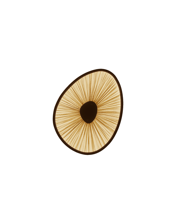 Lake Doiran Wall Light