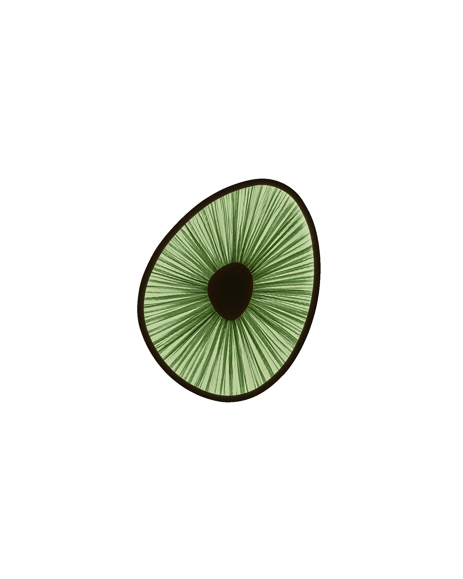 Lake Doiran Wall Light