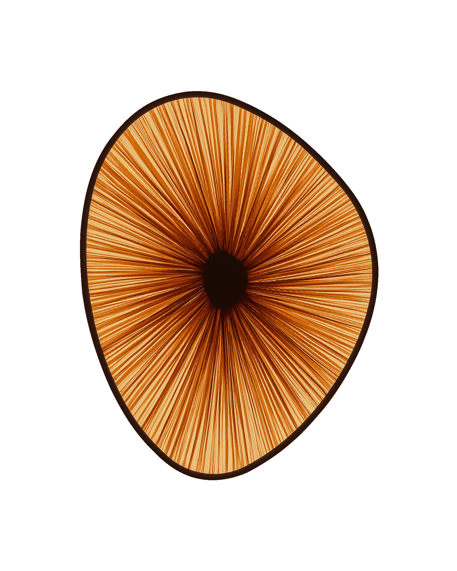 Lake Doiran Wall Light