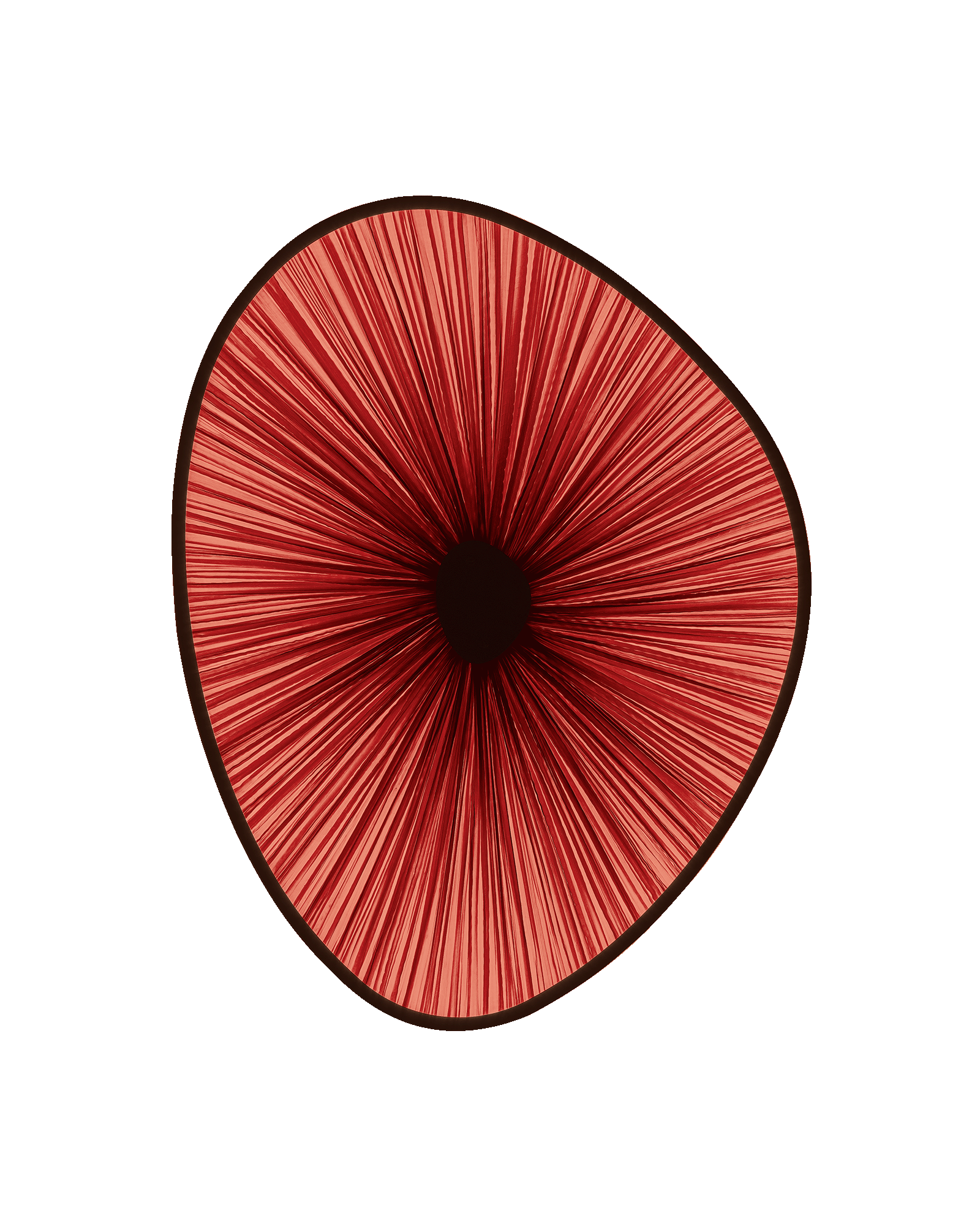 Lake Doiran Wall Light