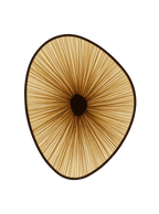 Lake Doiran Wall Light