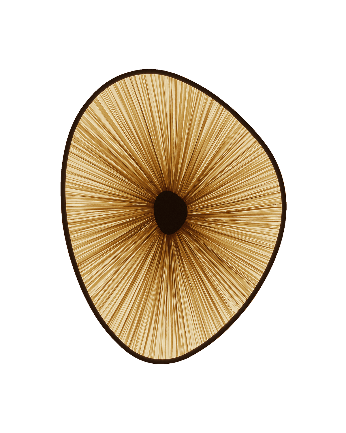 Lake Doiran 3 Ceiling Light | Aqua Creations