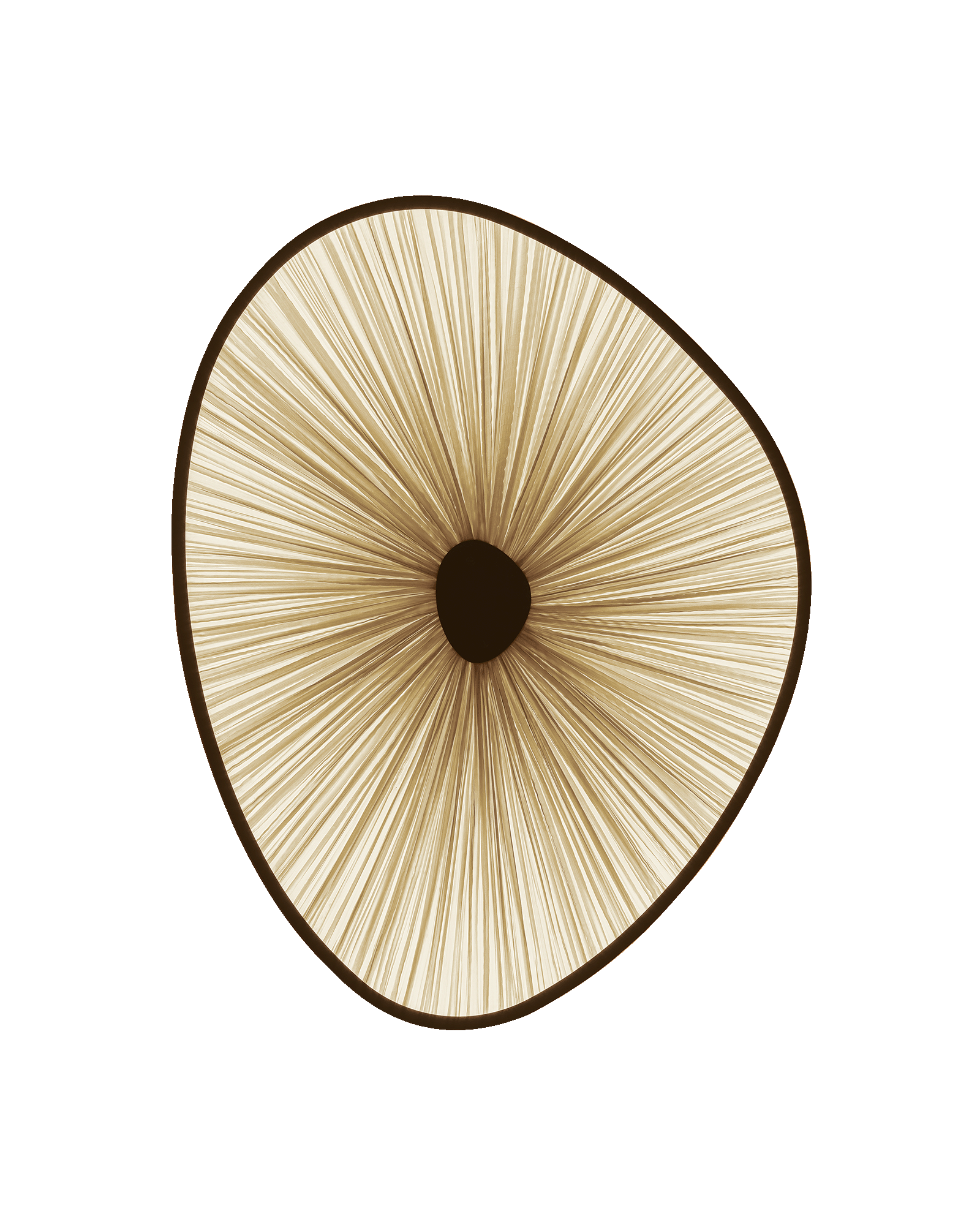 Lake Doiran Wall Light