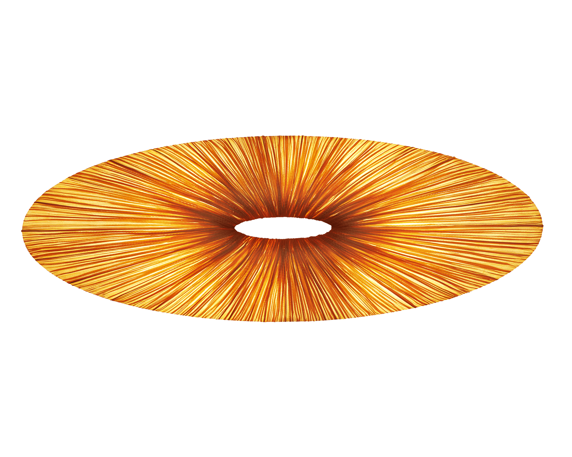 Liana Wall & Ceiling Light