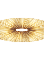 Liana Wall & Ceiling Light