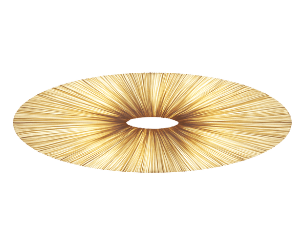 Liana Wall & Ceiling Light