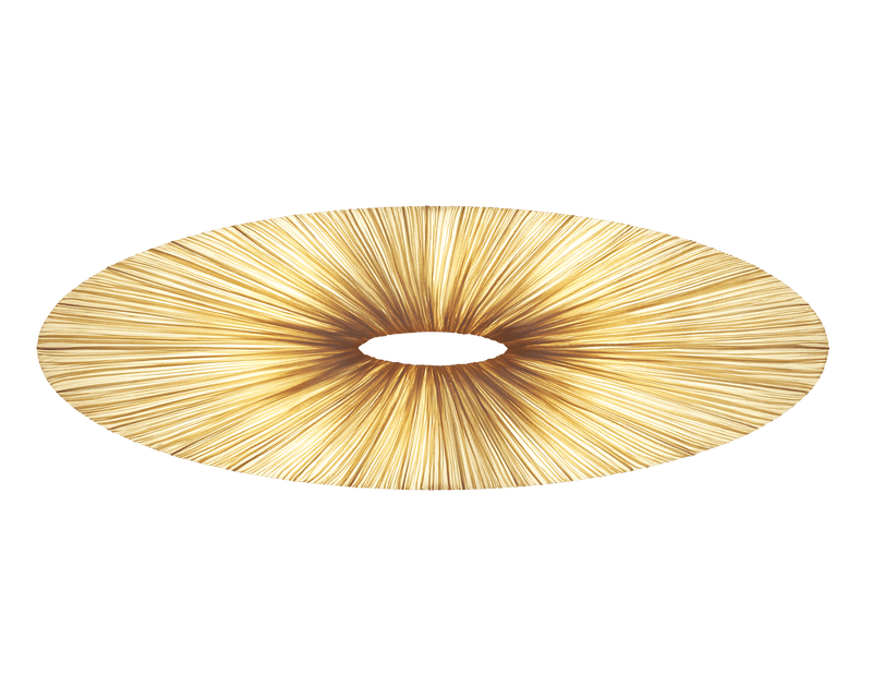 Liana Wall & Ceiling Light