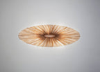Liana Wall & Ceiling Light
