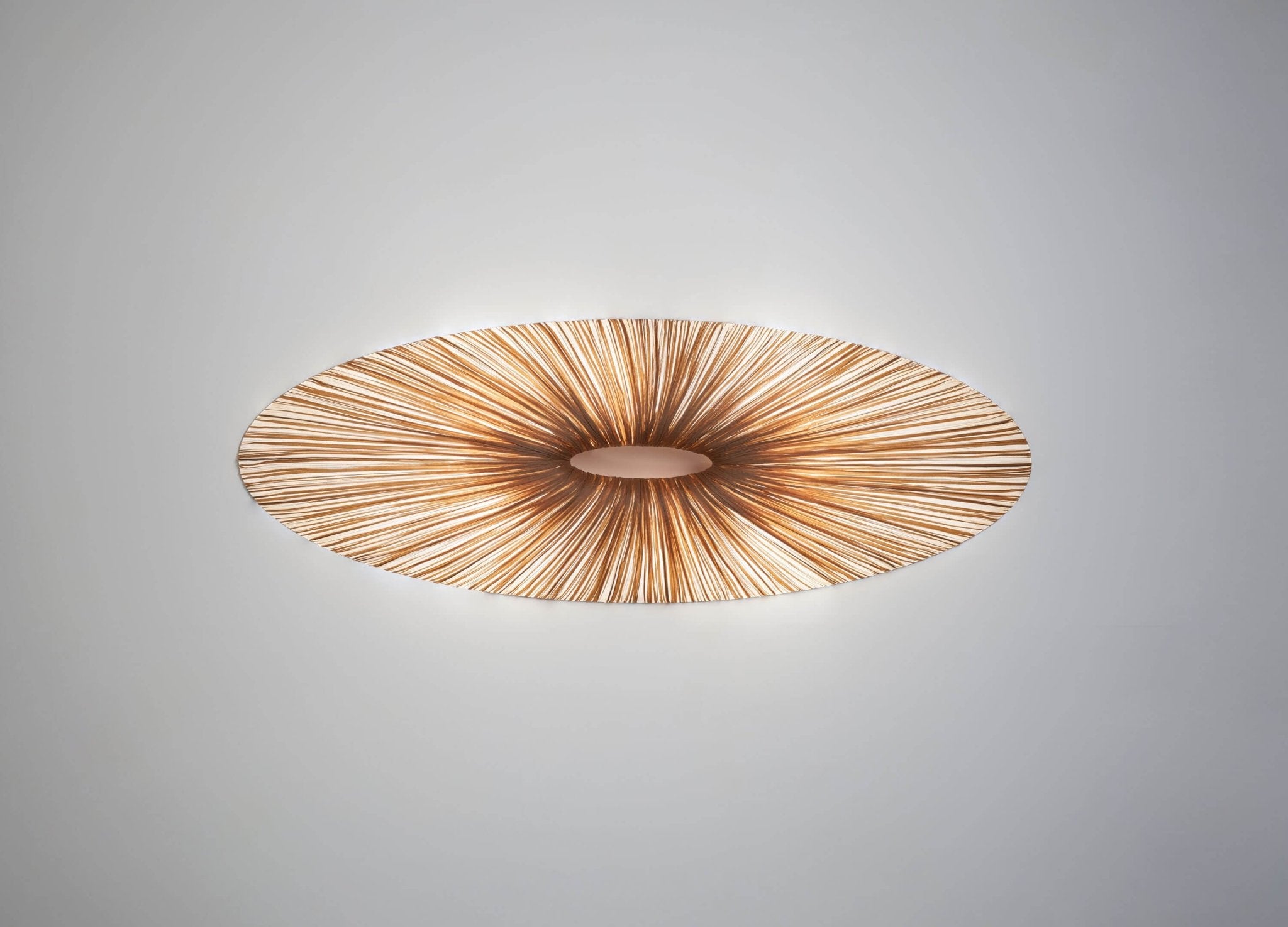 Liana Wall & Ceiling Light