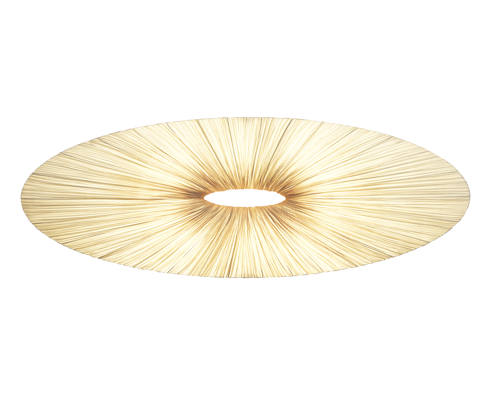 Liana Wall & Ceiling Light