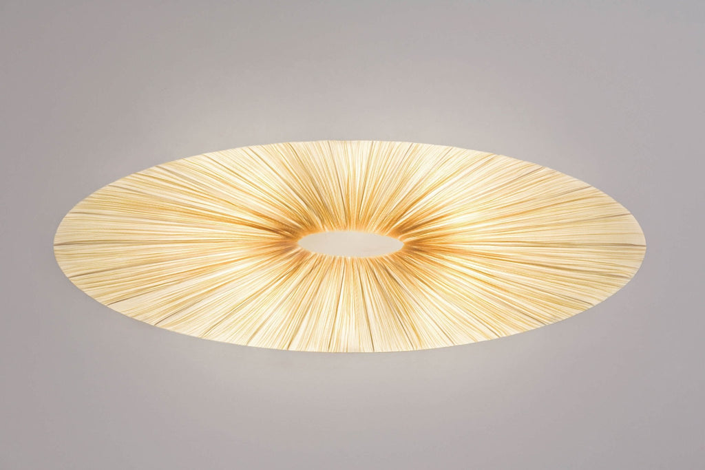 Liana Wall & Ceiling Light