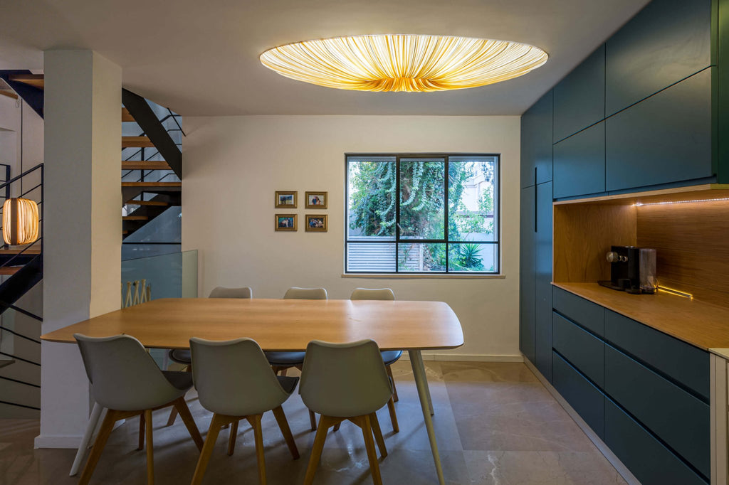 Liana Wall & Ceiling Light