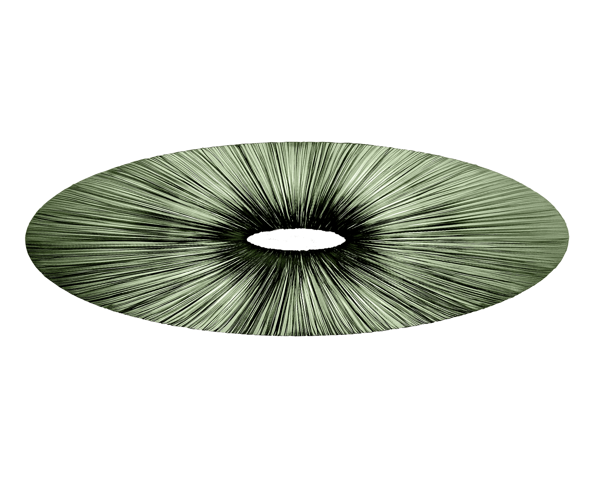 Liana Wall & Ceiling Light