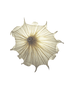 Medusa wall light lit in Cream silk, soft ambient lighting spread into a full silk bloom, Aqua Creations