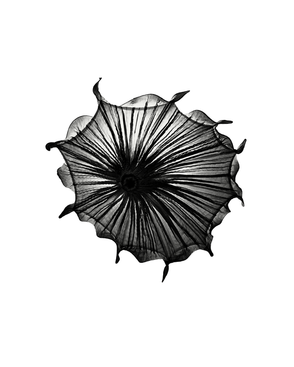 Medusa wall light in Coal silk, among the rare wall sconces for living room settings that double as art, Aqua Creations