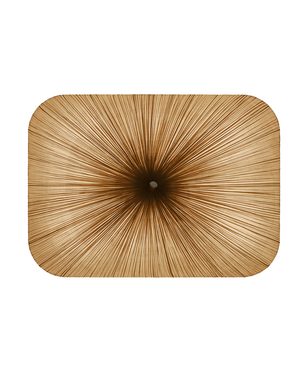 Nara 122/90 Wall and Ceiling Light