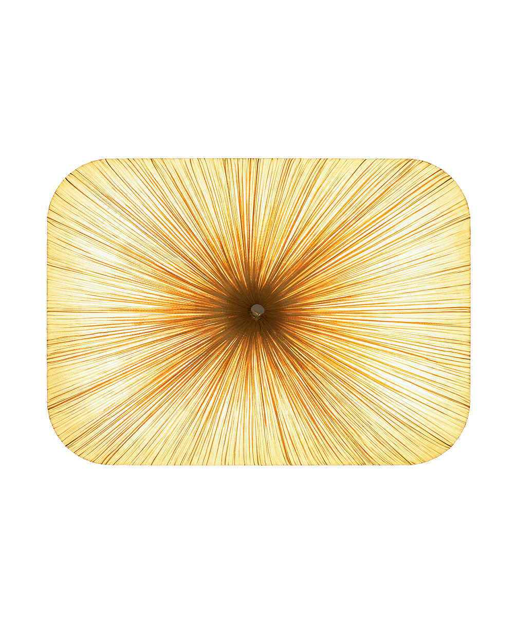 Nara 122/90 Wall and Ceiling Light