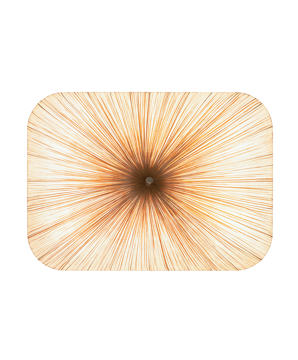 Nara 122/90 Wall and Ceiling Light