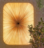 Nara 122/90 Wall and Ceiling Light