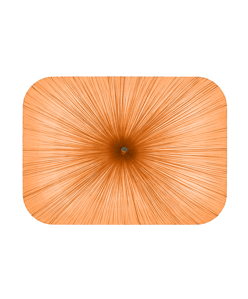 Nara 122/90 Wall and Ceiling Light