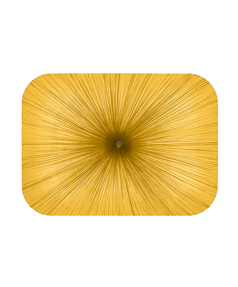 Nara 122/90 Wall and Ceiling Light