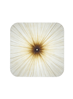 Nara Wall and Ceiling Light