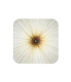 Nara Wall and Ceiling Light