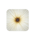 Nara Wall and Ceiling Light