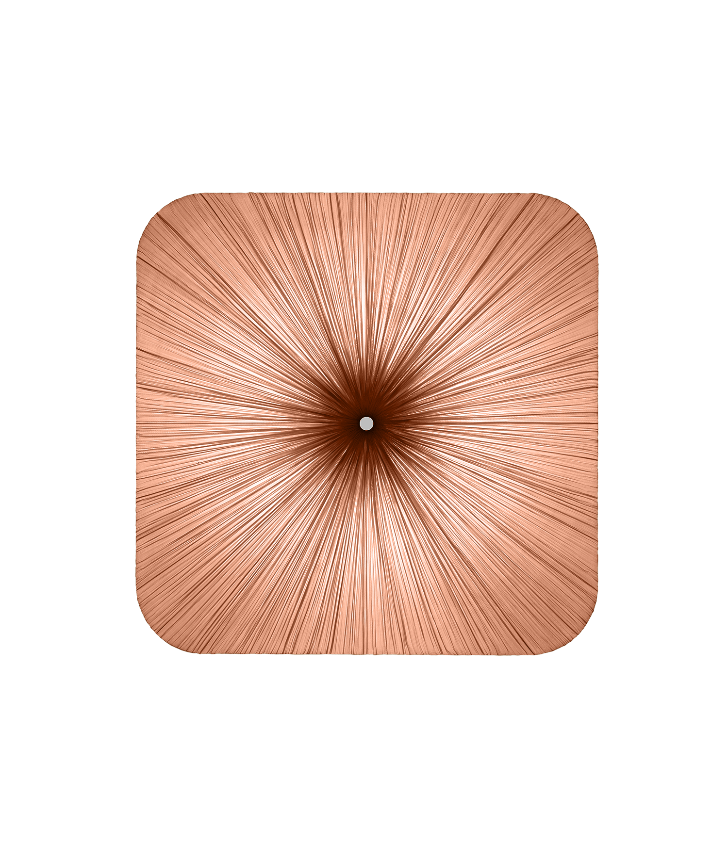 Nara Wall and Ceiling Light