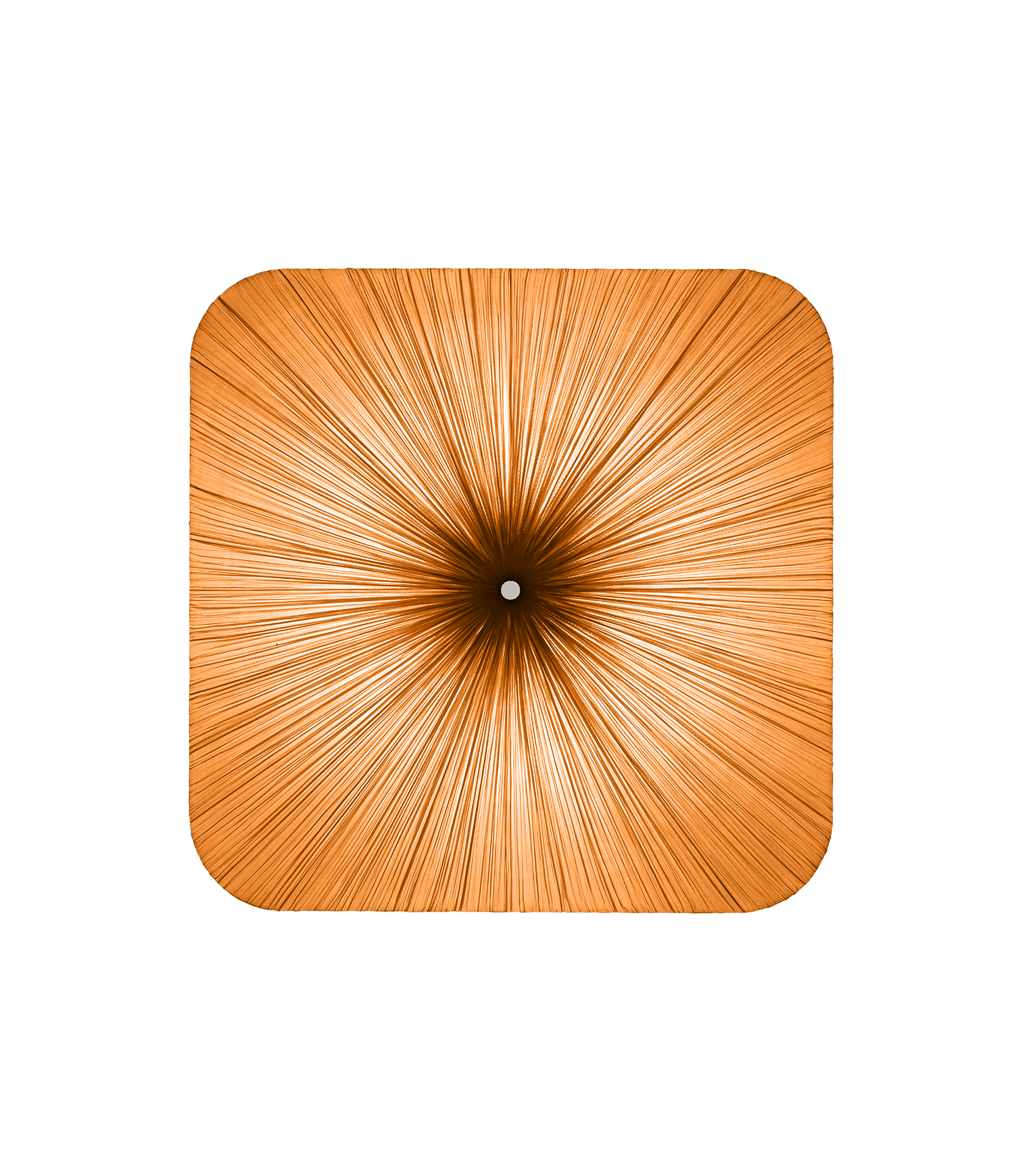 Nara Wall and Ceiling Light