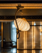 Palm Wall and Ceiling Light