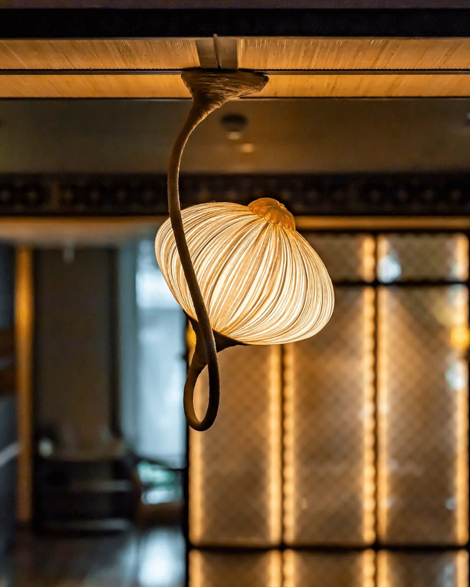 Palm Wall and Ceiling Light